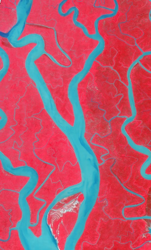 Flowing through Sundarbans