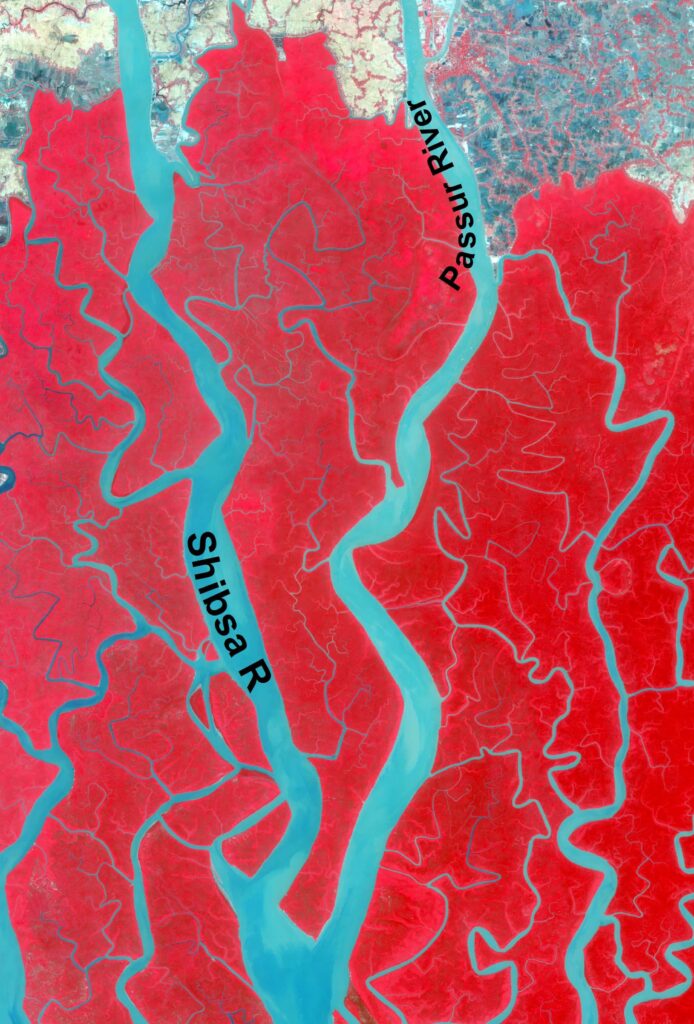 Shibsa, Support of Sundarbans